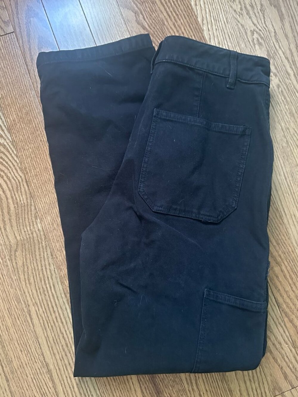 Aritzia (Wilfred) Cargo Pants - Cropped, Straight Leg, Black